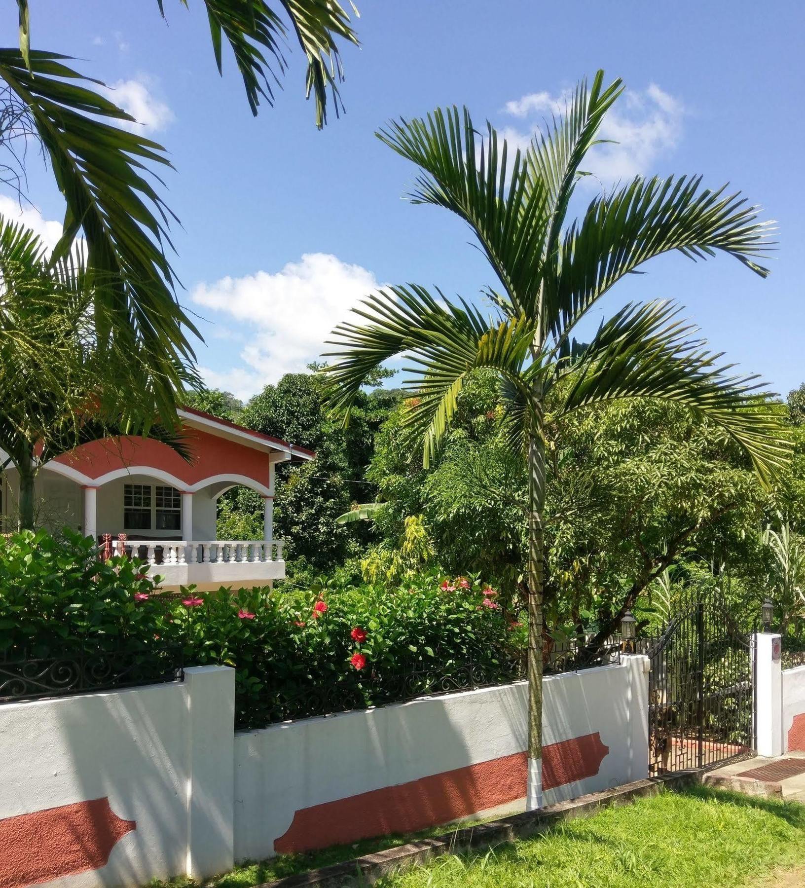 Polish Princess Guest House Port Antonio Eksteriør bilde