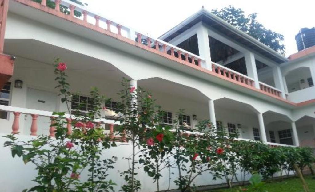 Polish Princess Guest House Port Antonio Eksteriør bilde
